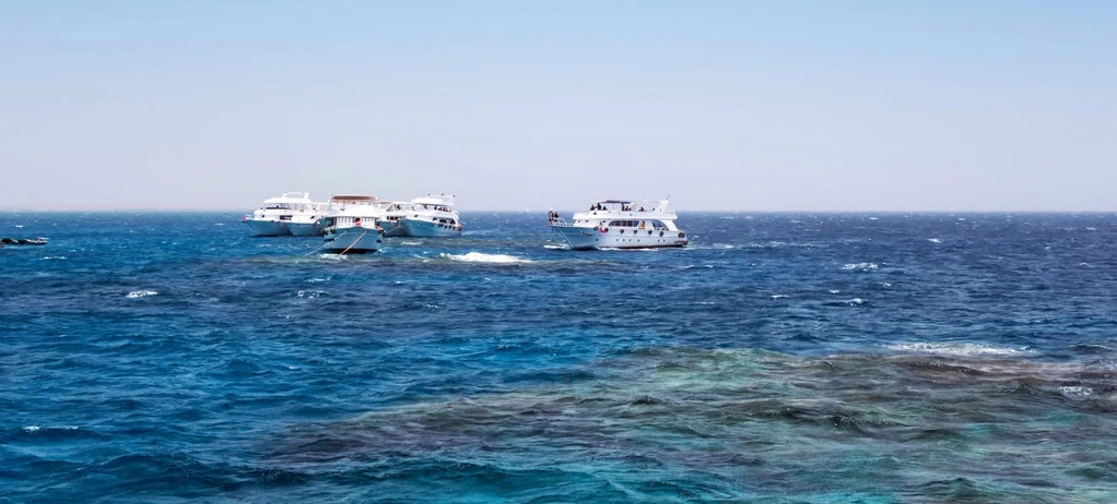 Parque Nacional Ras Mohammed: Un Colorido Refugio de Coral